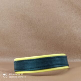 collier-education-chien-en-cuir