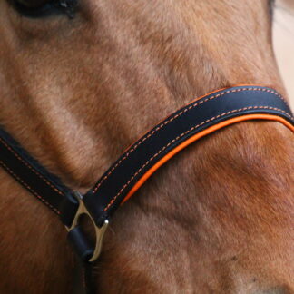 licol-taille-cheval-en-cuir-noir-doublure-orange